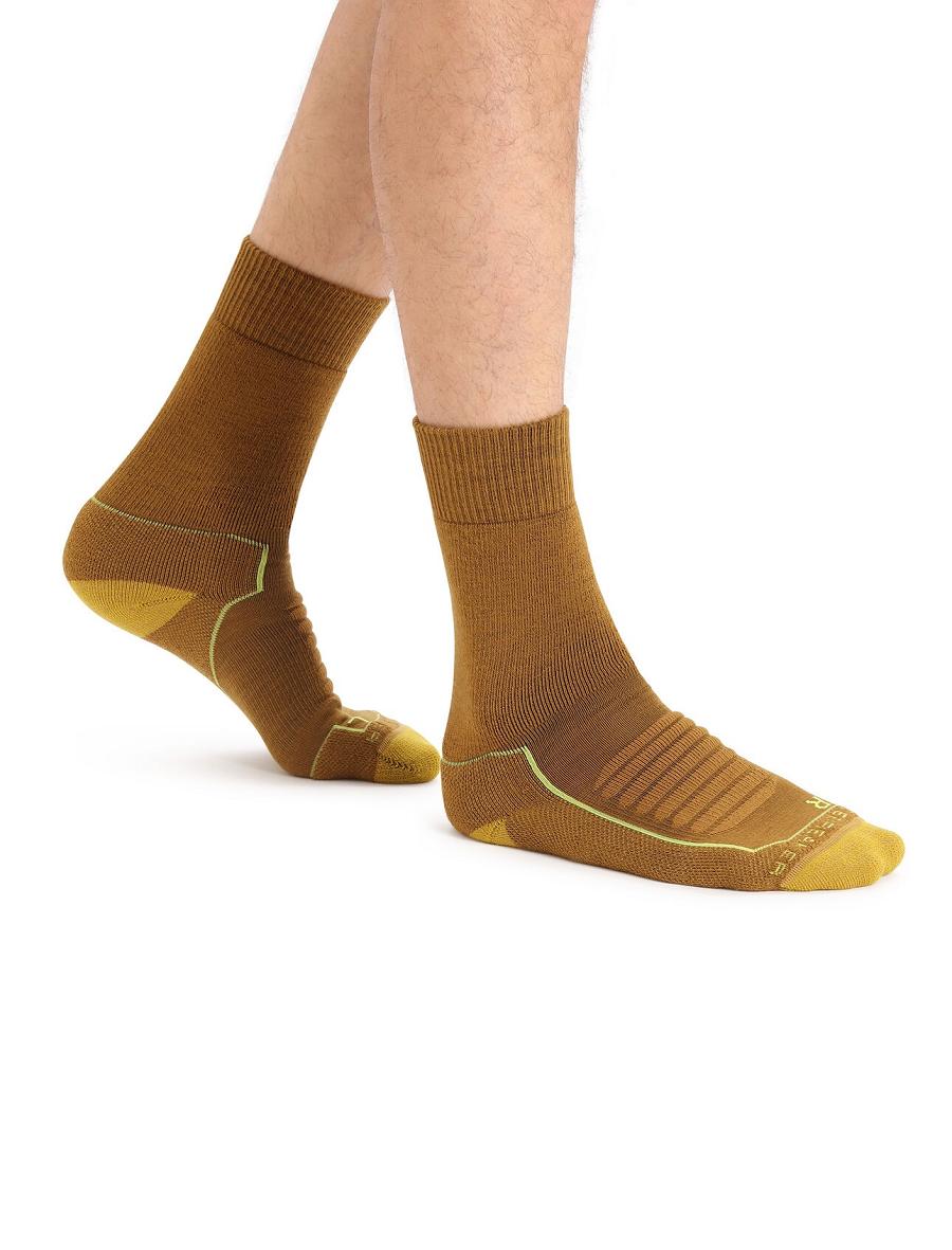 Men's Icebreaker Merino Hike+ Heavy Crew Socks Clove / Silent Gold | CA 1928QMAZ